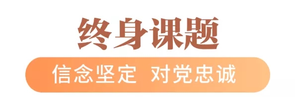 4.webp12.jpg