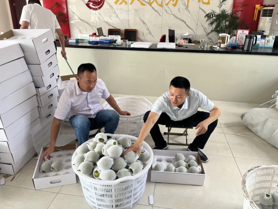 微信图片_20250421161641.png